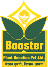 Booster Plant Genetics Pvt. Ltd
