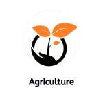 precision farming in agriculture